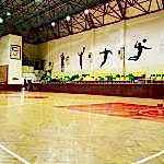 İstanbul Marmara Spor Kulübü